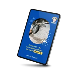 Evasive E's - An Investigation of the So-called Spoon-E